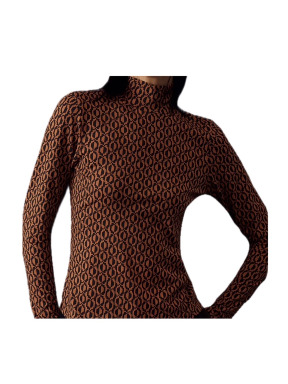 Maeve Brown and Black Patterned Mock Neck Long Sleeve Top